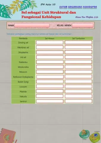 Perbedaan sel hewan dan sel tumbuhan