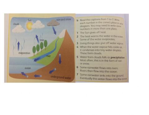 Water cycle diagram