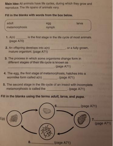 How Do Life Cycles Vary?