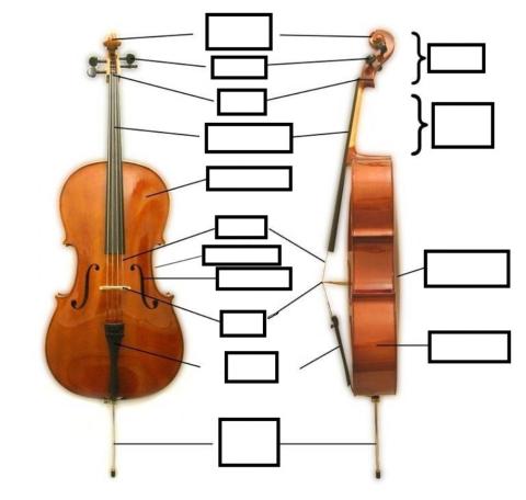 partes cello