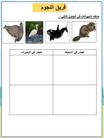صنف الحيوانات في الجدول التالي :  النجوم