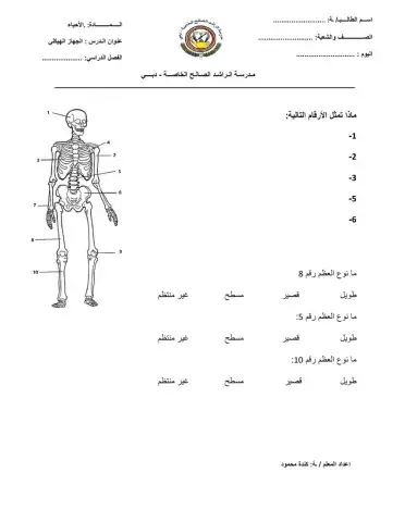 الجهاز الهيكلي