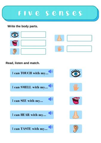 Five senses activity with video