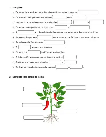 Repaso Naturais Tema 3