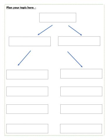 Graphic organizer