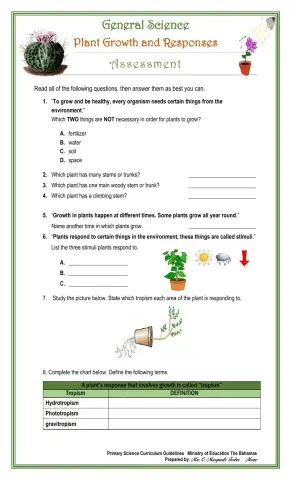 Plant Growth and Responses