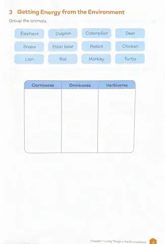 Living Things in the Environment