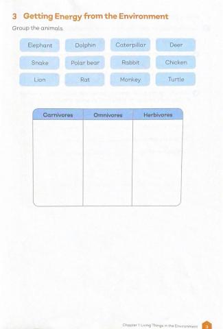 Living Things in the Environment