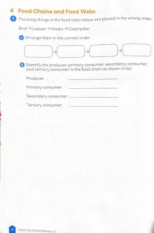 Living Things in the Environment