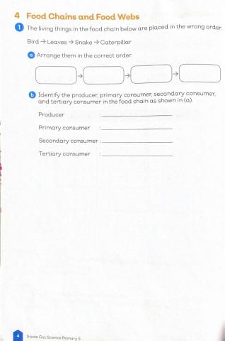 Living Things in the Environment