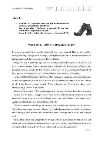 Advanced ENglish Practice for Matura