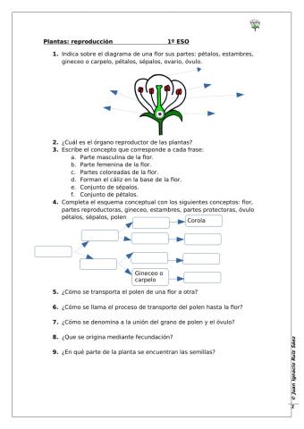 Reproduccioón plantas