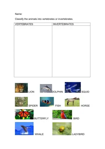 Vertebrates or invertebrates