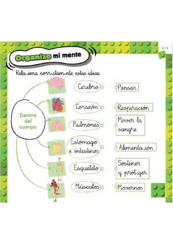 Nuestro cuerpo por dentro