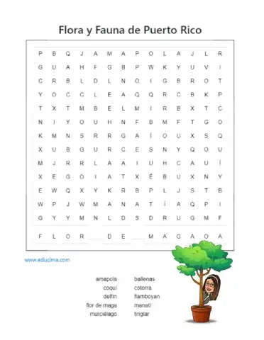 Flora y Fauna de Puerto Rico