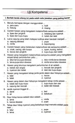 Uji kompetensi K4T6S2IPA