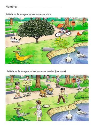 Seres Vivos y No Vivos