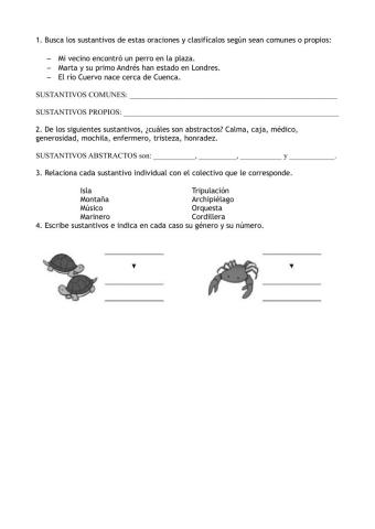 Los sustantivos 4º primaria