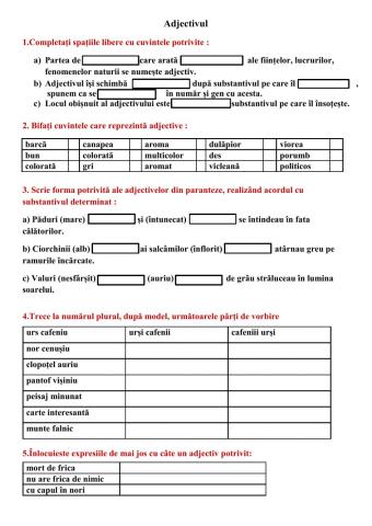 Test Adectivul