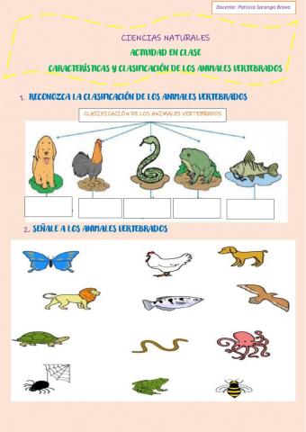 Clasificación de vertebrados