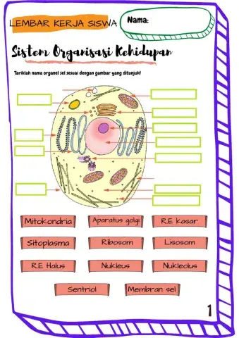 Organisasi Kehidupan