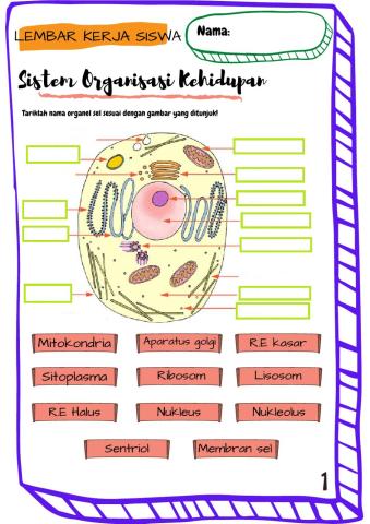 Organisasi Kehidupan