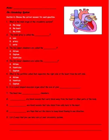 The Circulatory System