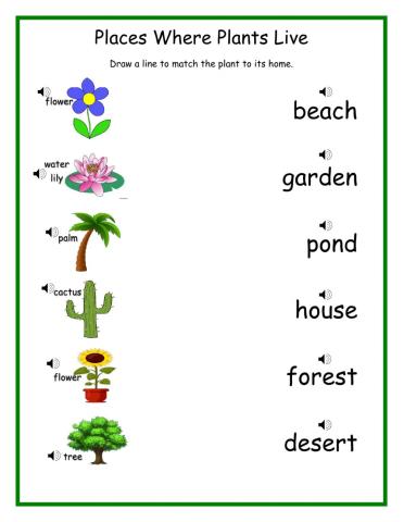 Where plants live DJ