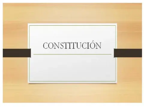 Constitucion