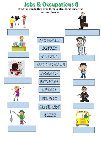 Jobs and occupations 8