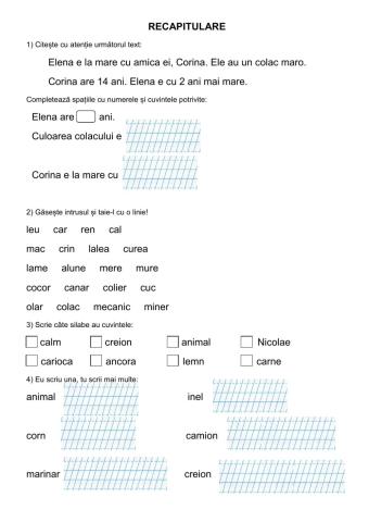 Recapitulare semestrială