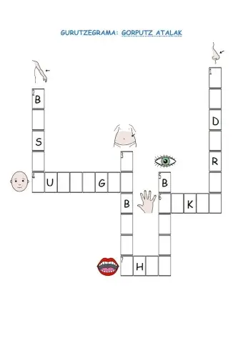 Gurutzegrama gorputz atalak