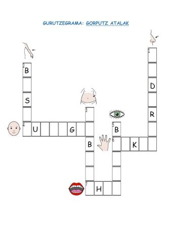 Gurutzegrama gorputz atalak