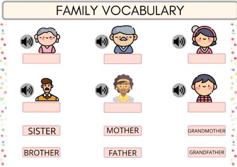 Family vocabulary