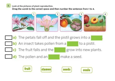 Plants reproduction