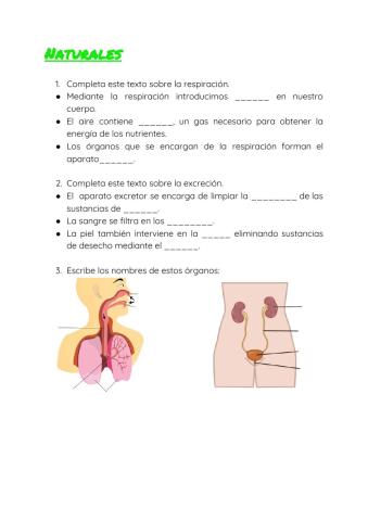 Aparato excretor y Aparato respiratorio