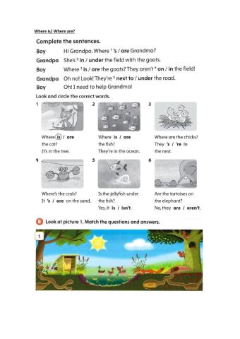 Where is - Where are