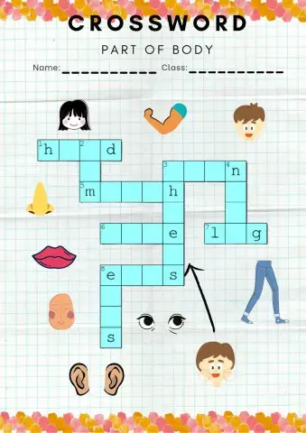 Crossword: Part of Body
