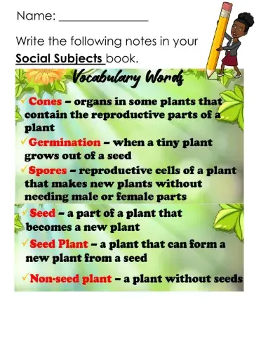Seed and Non-Seed Plants