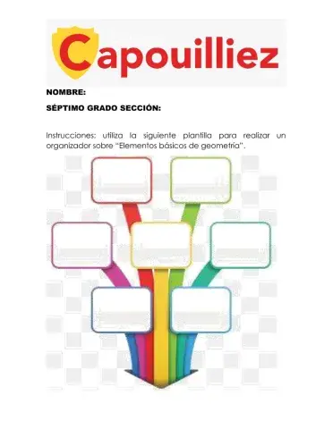 Organizador gráfico