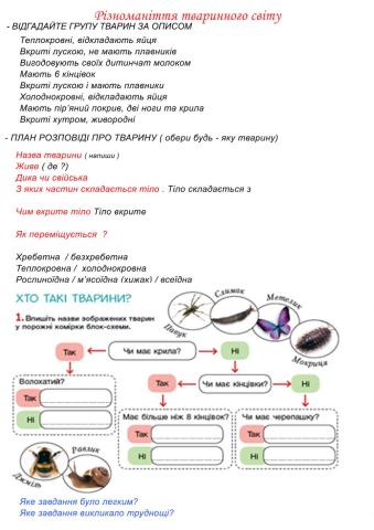 Різноманіття тваринного світу