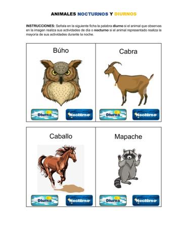 ¿Diurno o nocturno?