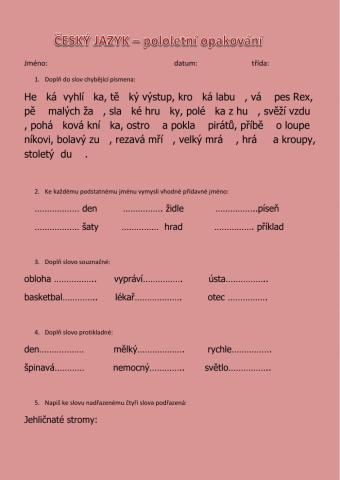 ČJ - pololetní opakování