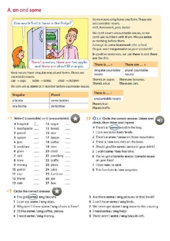 There is, There are, some, any. Countable, uncountable