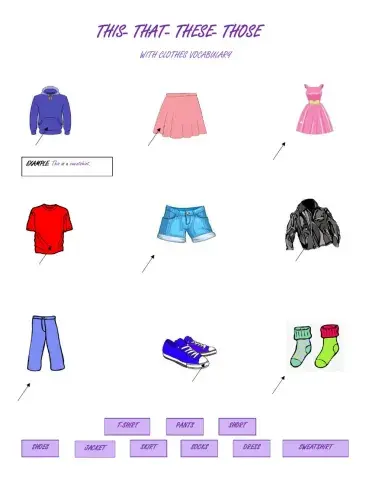 Demonstrative adjectives