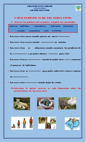 Características de los seres vivos.
