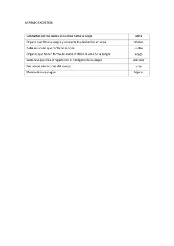 APARATO EXCRETOR RELACIONA