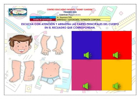 Partes principales del cuerpo humano