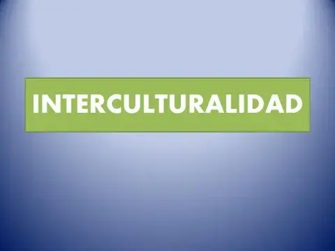 Interculturalidad