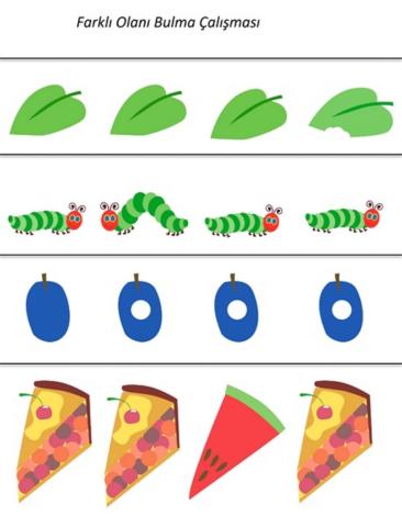 Farklı olanı işaretle!